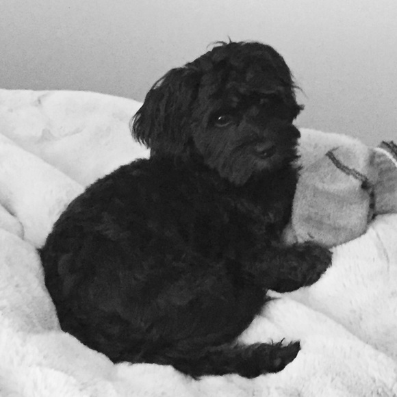 Meet your Posher, Leah - Picture 1 of 1